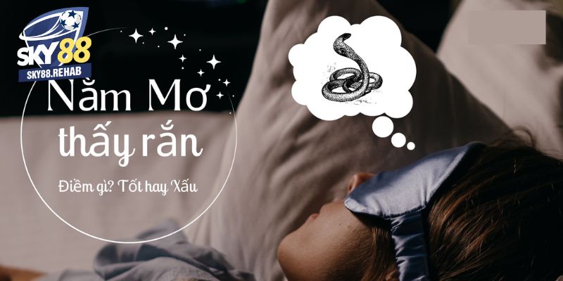 Tìm hiểu nằm mơ thấy rắn là điềm báo tốt hay xấu