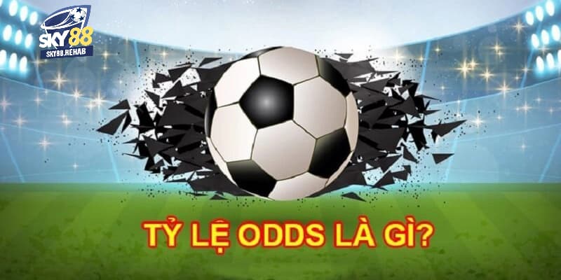 odds là gì