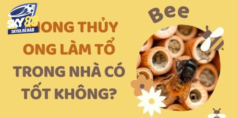 Giải mã chi tiết từng loại ong làm tổ trong nhà