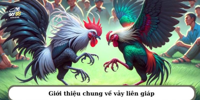 Vảy liên giáp với những gì có thể bạn chưa biết 